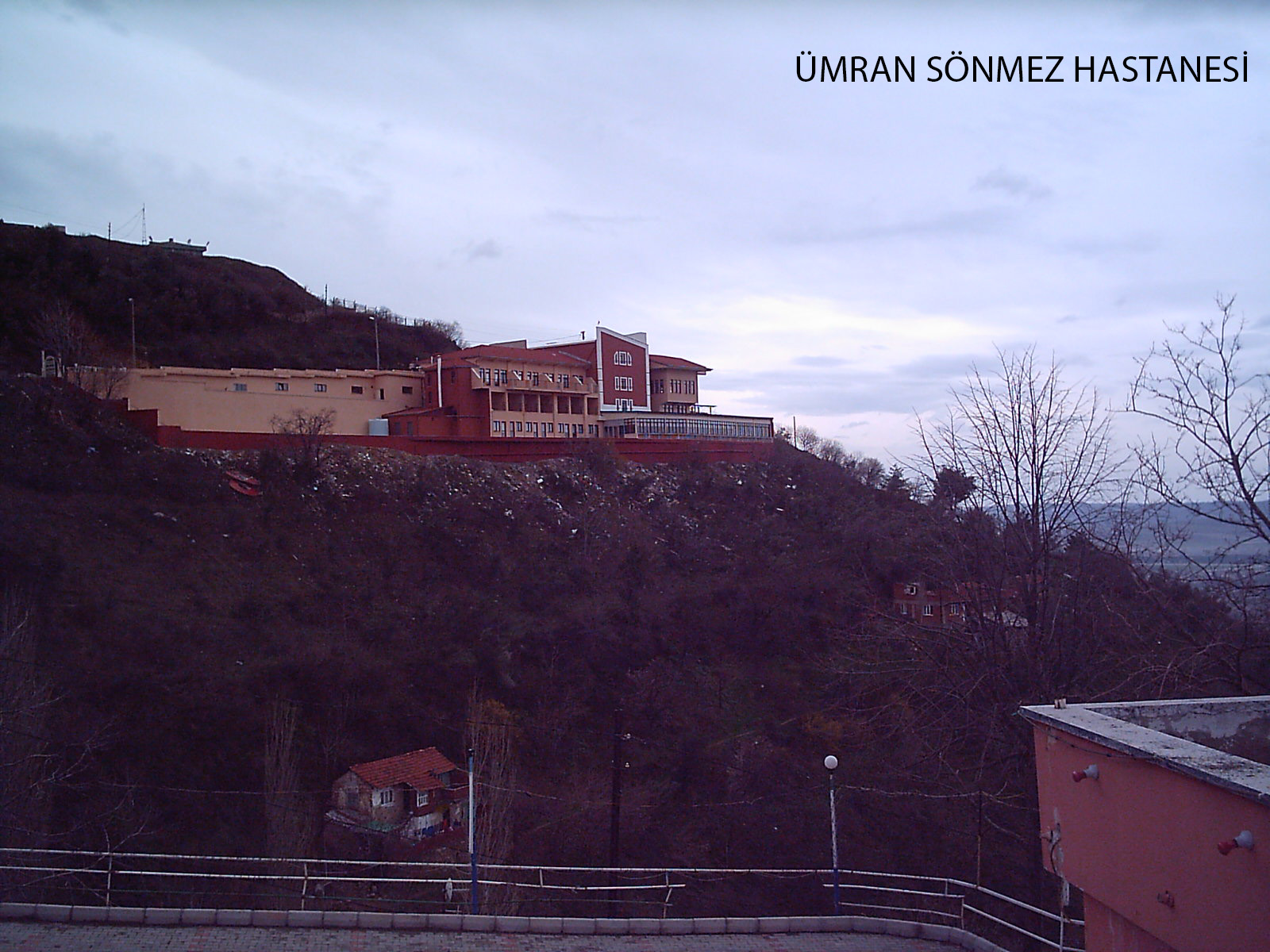 IMAG0005